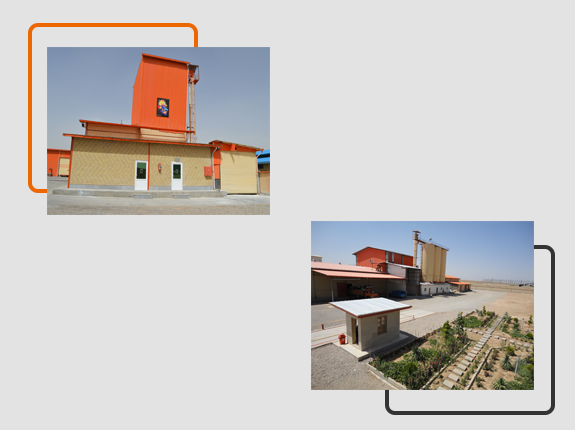 مجتمع تولیدی فراز دانه آوند